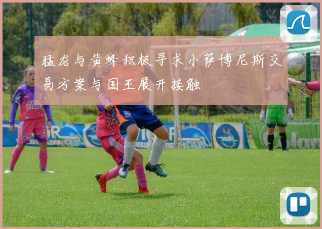 猛龙与黄蜂积极寻求小萨博尼斯交易方案与国王展开接触